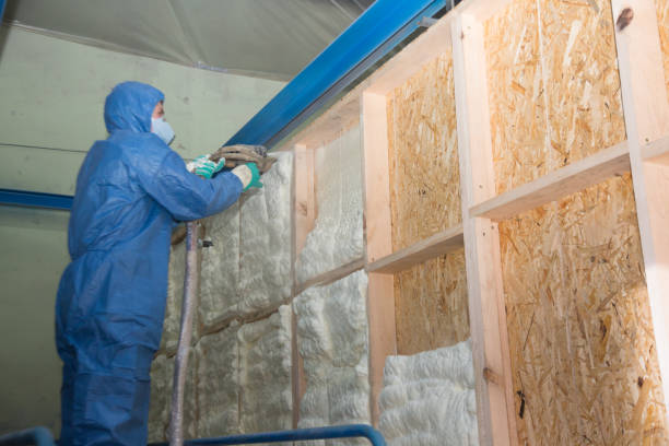Best Energy-efficient Insulation  in Mercer, PA